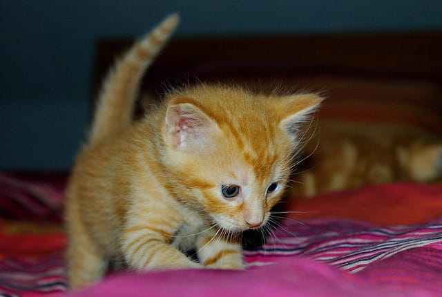 A thought that had a big impact on me